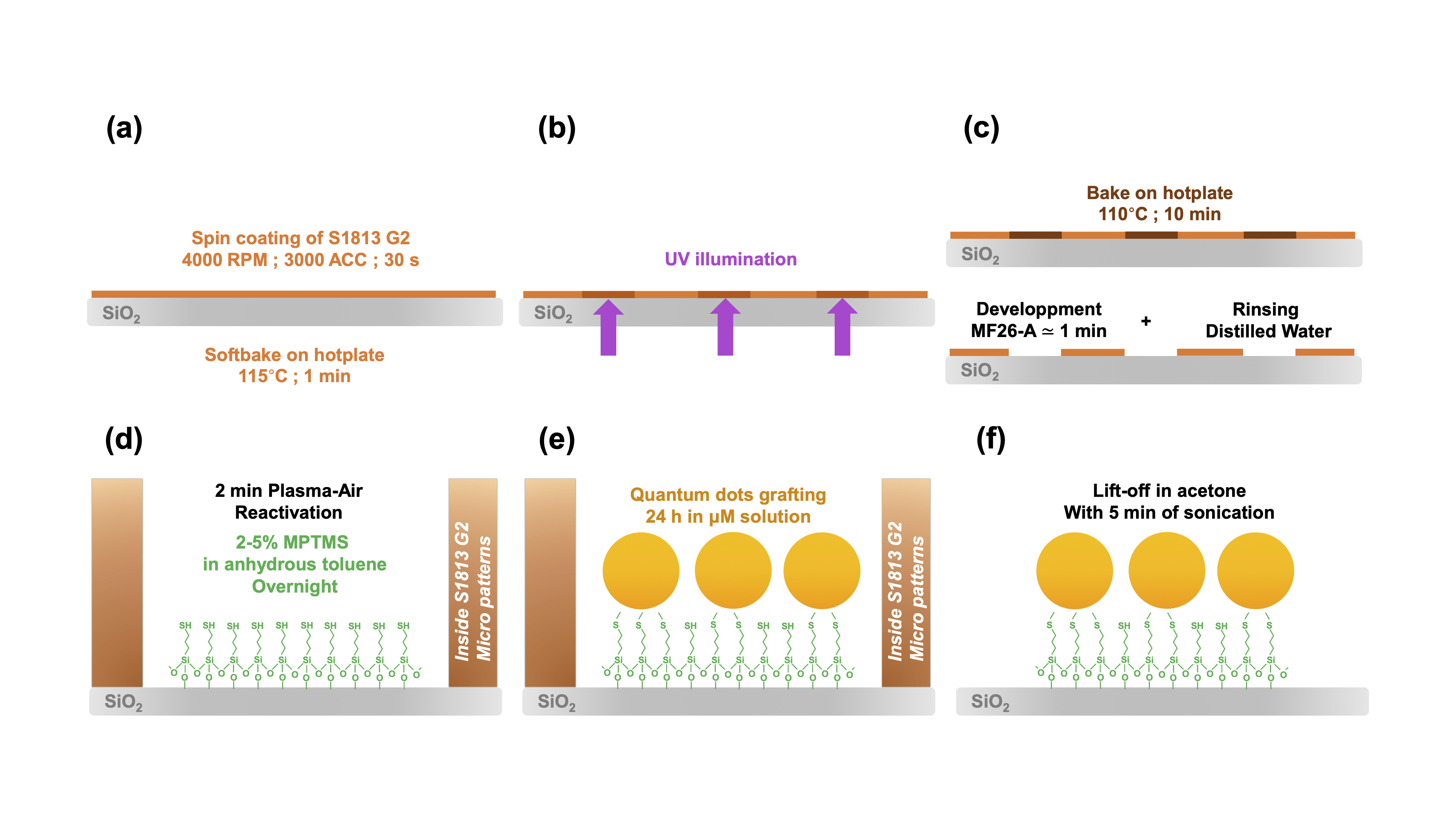 QDs Micropatterning Protocol