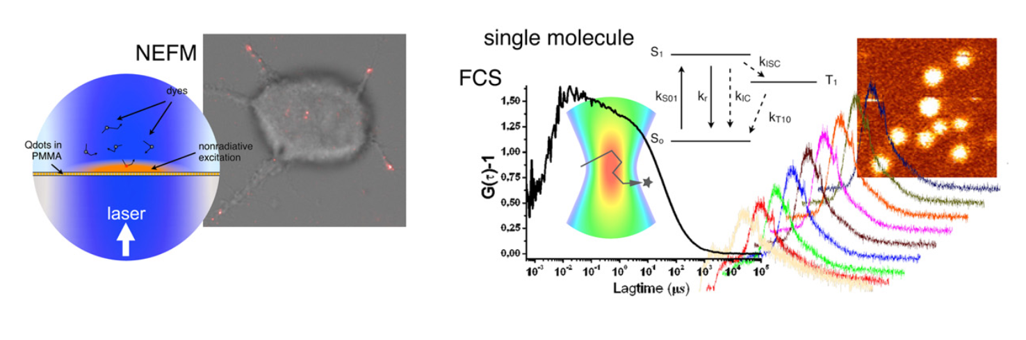 NEF and nano-FCS illustration