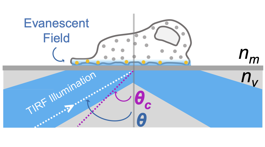 Evanescent field when the incidence angle exceeds the critical angle