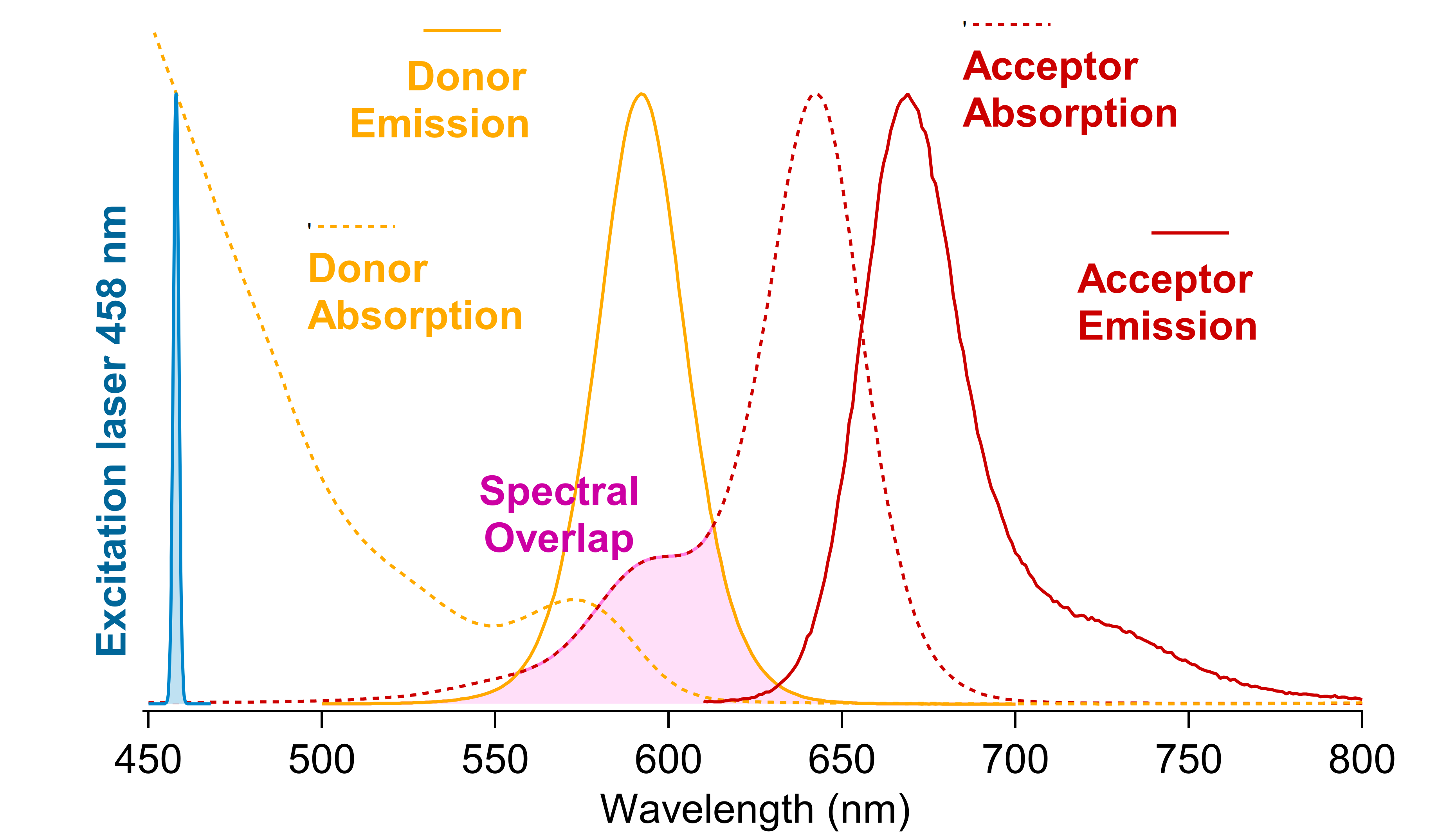 Spectral interest of having quantum dots as FRET donors