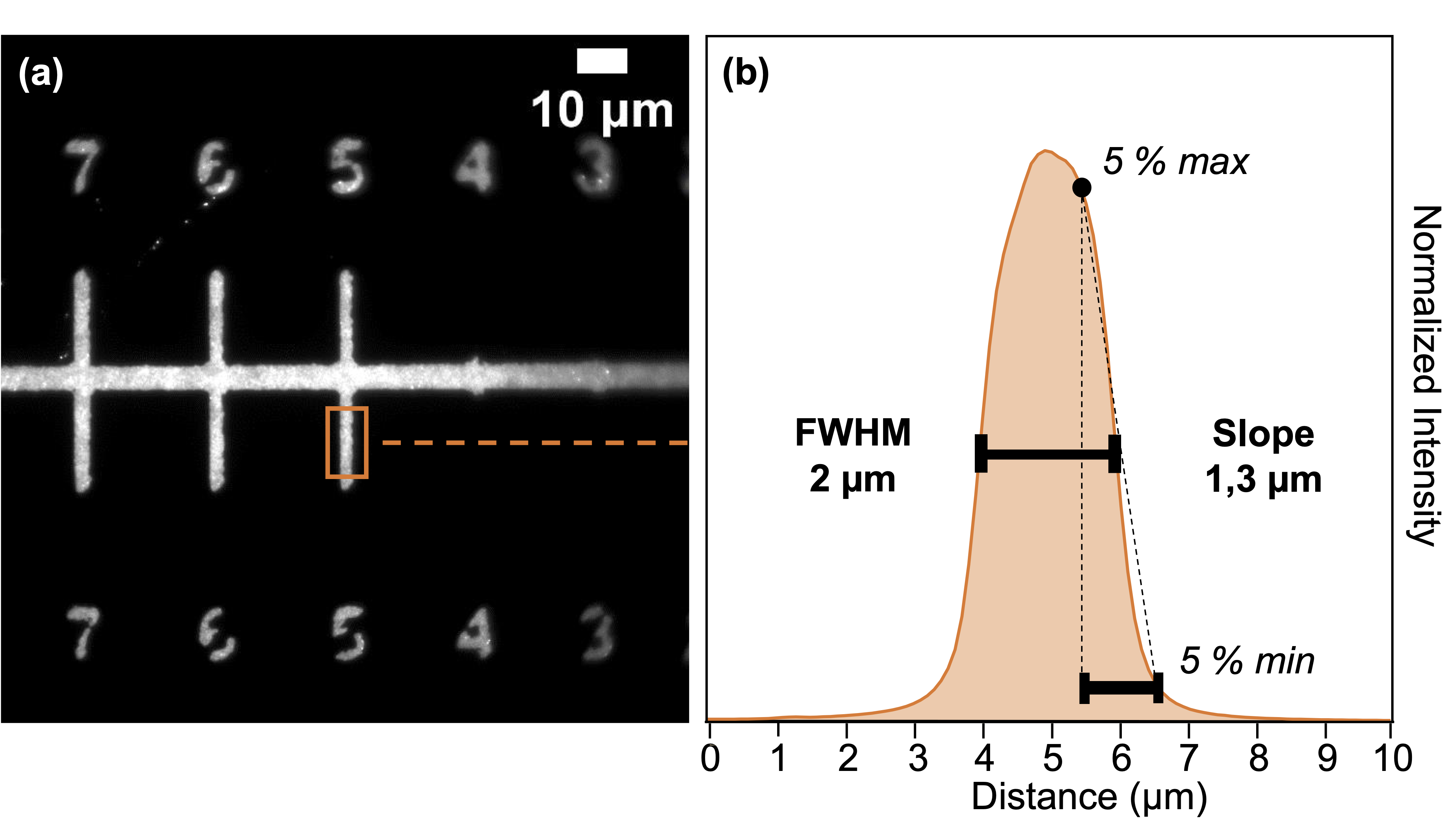 Resolution of QD micropatterns with the x10 PRIMO objective