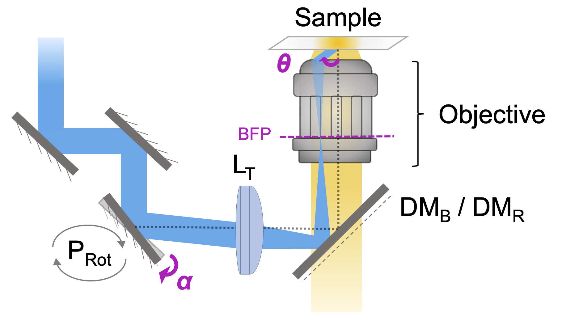 TIRF optical setup schematic, focus on sample illumination