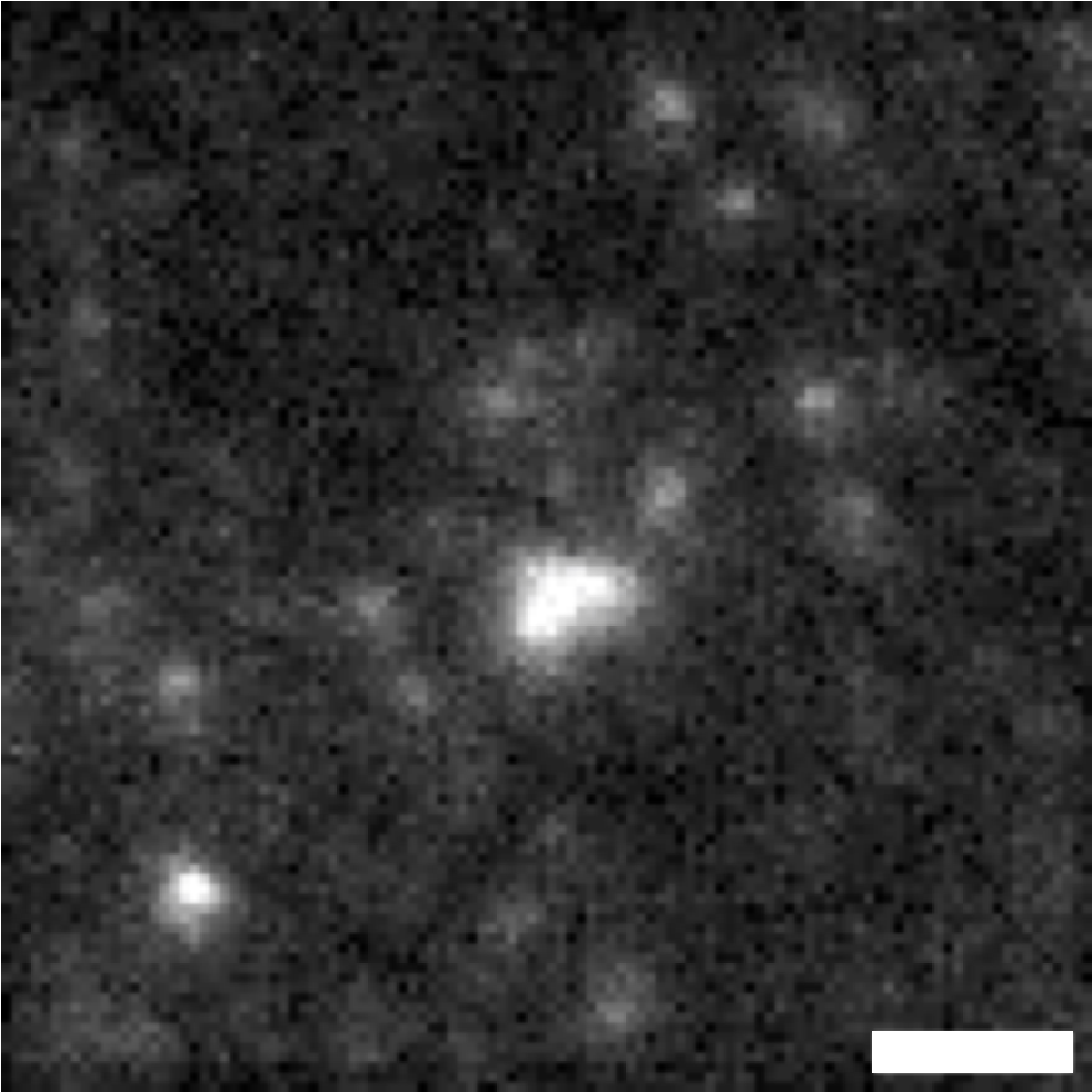 Classical average of 25 images