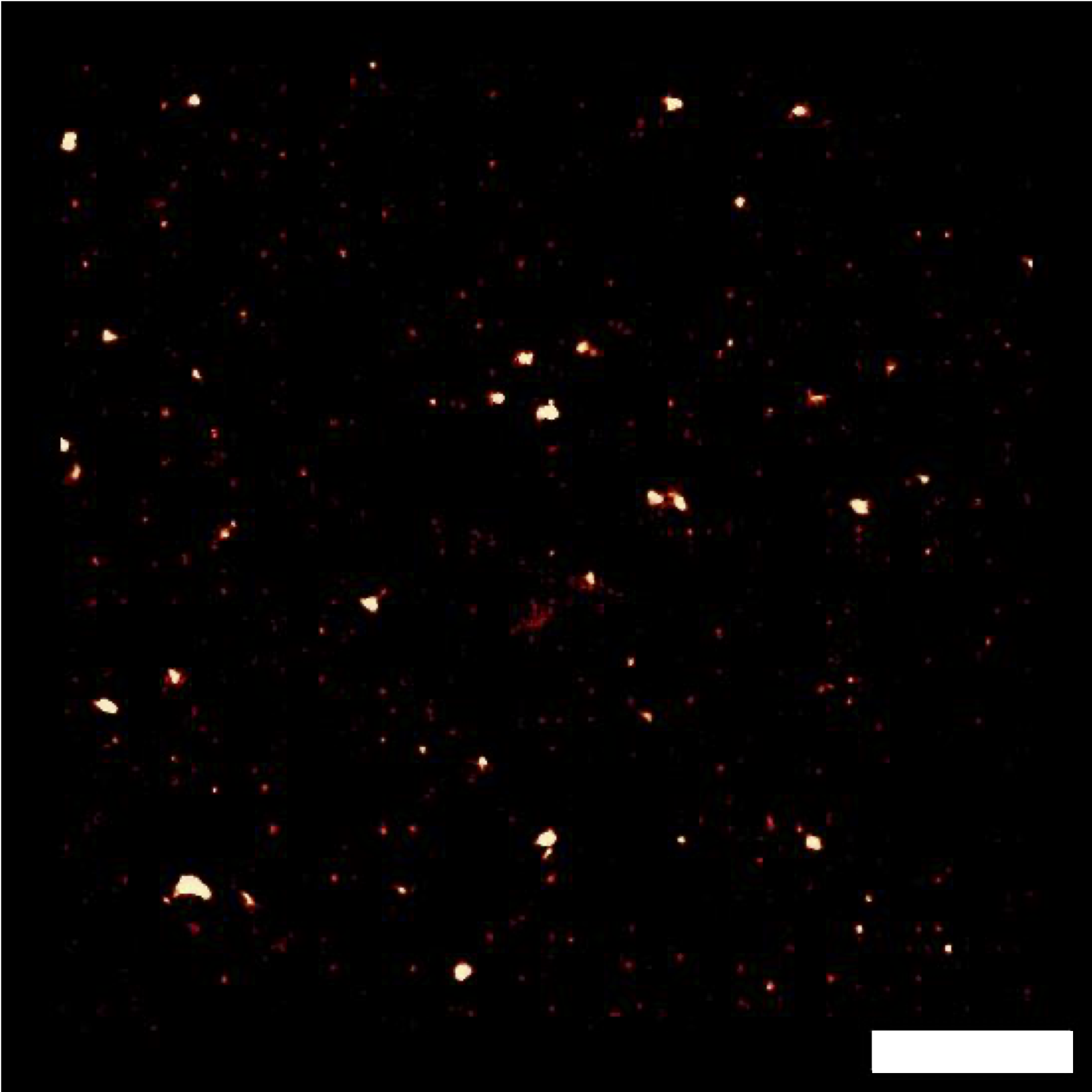 Image reconstructed by the SRRF algorithm from 500 images